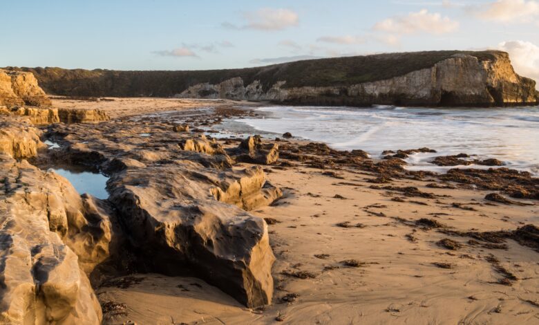 bonny doon beach