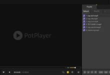 PotPlayer