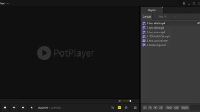 PotPlayer