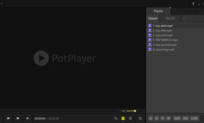 PotPlayer