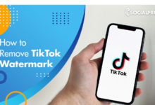 tiktok watermark remover app